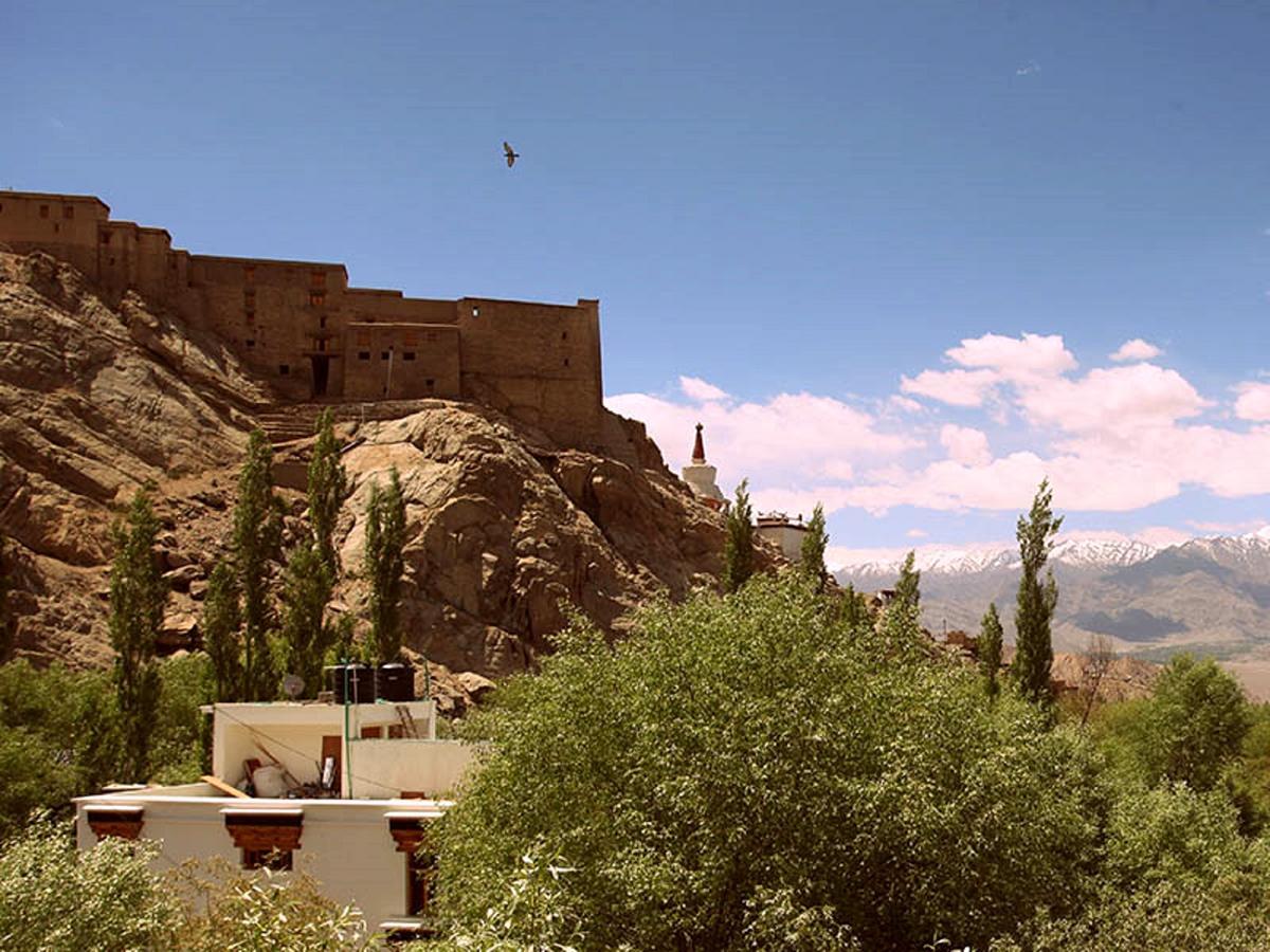 The Hotel Himalaya, เลห์ ภายนอก รูปภาพ